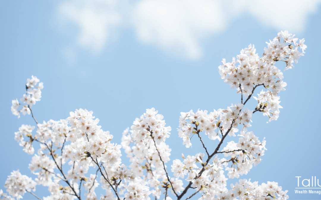 Spring Has Sprung: Time to Refresh Your Retirement Plan